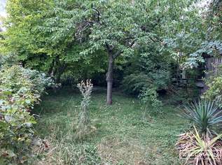 Baugrund mit Altbestand | ZELLMANN IMMOBILIEN, 270000 €, Immobilien-Grund und Boden in 2500 Gemeinde Baden Baugrund mit Altbestand | ZELLMANN IMMOBILIEN, 270000 €, Immobilien-Grund und Boden in 2500 Gemeinde Baden