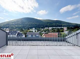 OPEN HOUSE am 18. April 2026, von 10-14 Uhr! Diesen Ausblick immer genießen können!, 1049000 €, Immobilien-Wohnungen in 2371 Katastralgemeinde Hinterbrühl