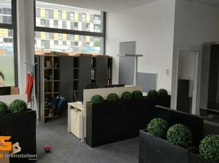 Salzburg Nord - Büro / Showroomflächen mit bester Sichtbarkeit mieten, 1258.83 €, Immobilien-Gewerbeobjekte in 5020 Salzburg Salzburg Nord - Büro / Showroomflächen mit bester Sichtbarkeit mieten, 1258.83 €, Immobilien-Gewerbeobjekte in 5020 Salzburg