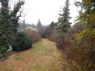 Bastlerhit mit großem Garten - ruhig in einer Sackgasse gelegen, 270000 €, Immobilien-Häuser in 2752 Gemeinde Wöllersdorf-Steinabrückl