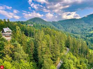 KAUFANBOT LIEGT VOR: Wohnen im Herzen des historischen Höhenluftkurorts Semmering!, 135000 €, Immobilien-Wohnungen in 2680 Semmering - Kurort