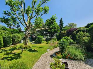 Seehaus auf Pachtgrund am privaten Neudörfler Badesee, 0 €, Immobilien-Häuser in 7201 Neudörfl Seehaus auf Pachtgrund am privaten Neudörfler Badesee, 0 €, Immobilien-Häuser in 7201 Neudörfl
