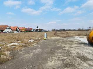 BAUGRUNDSTÜCK AM FÖHRENSEE IN TRASDORF INMITTEN DER NATUR AN FELDER DER REGION ANGRENZEND, 165000 €, Immobilien-Grund und Boden in 3452 Trasdorf BAUGRUNDSTÜCK AM FÖHRENSEE IN TRASDORF INMITTEN DER NATUR AN FELDER DER REGION ANGRENZEND, 165000 €, Immobilien-Grund und Boden in 3452 Trasdorf
