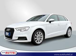 A3 SP design 1.6 TDI, 18490 €, Auto & Fahrrad-Autos in 8443 Gleinstätten