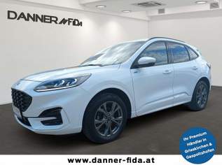 Kuga 190PS Benzin 2,5 Duratec FHEV AWD ST-Line Aut. ..., 28980 €, Auto & Fahrrad-Autos in 4707 Schlüßlberg Kuga 190PS Benzin 2,5 Duratec FHEV AWD ST-Line Aut. ..., 28980 €, Auto & Fahrrad-Autos in 4707 Schlüßlberg