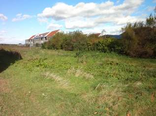 Aufgeschlossenes Grundstück in bester Lage am Ortsrand von Gols!, 590000 €, Immobilien-Grund und Boden in 7122 Gols