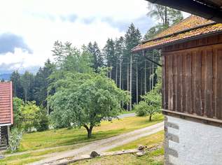 Liebhaberobjekt in Alleinlage, 469000 €, Immobilien-Häuser in 4091 Vichtenstein Liebhaberobjekt in Alleinlage, 469000 €, Immobilien-Häuser in 4091 Vichtenstein