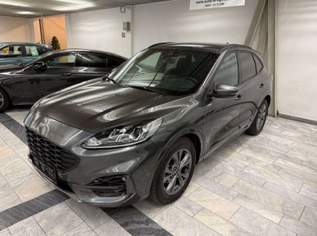Kuga 2,0 EcoBlue Hybrid ST-Line Aut. ST-Line, 25900 €, Auto & Fahrrad-Autos in 9020 Innere Stadt