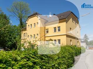 Fred Feuerstein, 909.27 €, Immobilien-Wohnungen in 4050 Traun