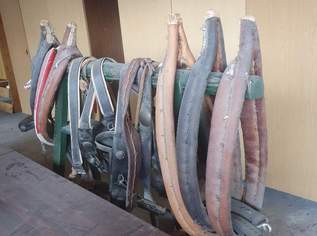 Pferdegeschirr diverses, 150 €, Marktplatz-Tiere & Tierbedarf in 2201 Gemeinde Gerasdorf bei Wien