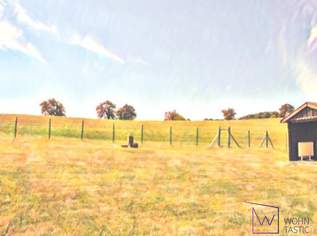 Einzigartiger Baugrund mit Bestandsobjekt, 698000 €, Immobilien-Grund und Boden in 2384 Breitenfurt