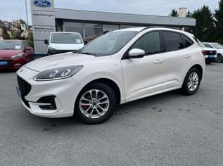 Kuga 2,0 EcoBlue Hybrid ST-Line X, 24990 €, Auto & Fahrrad-Autos in 8200 Gleisdorf