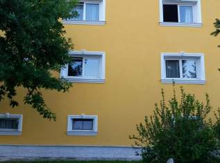 Kleine Wohnung im Haus mit großen Garten Kleine Wohnung im Haus mit großen Garten