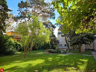 137 m² Wohnfläche – großzügige 4-Zimmer-Wohnung mit Entwicklungspotenzial, 350000 €, Immobilien-Wohnungen in 2320 Schwechat 137 m² Wohnfläche – großzügige 4-Zimmer-Wohnung mit Entwicklungspotenzial, 350000 €, Immobilien-Wohnungen in 2320 Schwechat