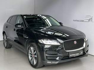 F-Pace *B2B HÄNDLER/EXPORT Neue Motor-70.000Km*, 11890 €, Auto & Fahrrad-Autos in 5020 Altstadt F-Pace *B2B HÄNDLER/EXPORT Neue Motor-70.000Km*, 11890 €, Auto & Fahrrad-Autos in 5020 Altstadt