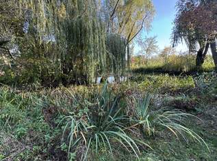 Tolles Grundstück in Biedermannsdorf, 1399000 €, Immobilien-Grund und Boden in 2362 Gemeinde Biedermannsdorf