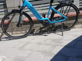 Damen E-Bike Damen E-Bike