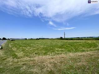 IHRE CHANCE: Betriebsgrundstück I TOP-Lage I Ideal geschnitten I Ortseinfahrt Mitterndorf/Fischa, 549000 €, Immobilien-Gewerbeobjekte in 2441 Gemeinde Mitterndorf an der Fischa