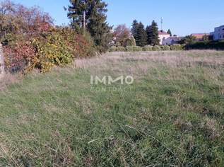 großer Baugrund in Hohenau - im Zentrum und doch ruhig in einer Einbahn, 249000 €, Immobilien-Grund und Boden in 2273 Gemeinde Hohenau an der March großer Baugrund in Hohenau - im Zentrum und doch ruhig in einer Einbahn, 249000 €, Immobilien-Grund und Boden in 2273 Gemeinde Hohenau an der March