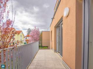 Moderne Terrassenwohnung in Grünruhelage, 1299 €, Immobilien-Wohnungen in 1220 Donaustadt