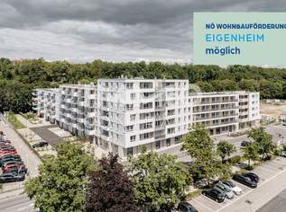 Traumhafte 3 Zimmer Wohnung!, 249500 €, Immobilien-Wohnungen in 3100 Stattersdorf