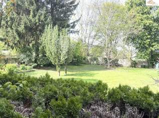 3-Zimmer-Wohnung in zentraler Lage von Neunkirchen, 127000 €, Immobilien-Wohnungen in 2620 Gemeinde Neunkirchen