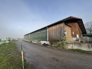 Lagerhalle, 4000 €, Immobilien-Gewerbeobjekte in 4553 Hausmanning