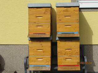 4 Bienenstöcke - Flachzargen Dadant Blatt