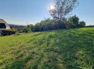 Großzügiges Grundstück mit Altbestand in sonniger Südwestlage, 360000 €, Immobilien-Häuser in 5211 Friedburg Großzügiges Grundstück mit Altbestand in sonniger Südwestlage, 360000 €, Immobilien-Häuser in 5211 Friedburg