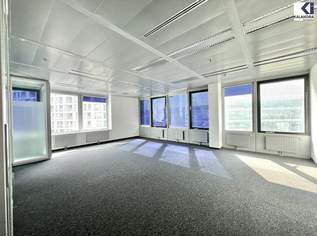 360 TOUR // BÜROFLÄCHE im ARES TOWER, 14540.23 €, Immobilien-Gewerbeobjekte in 1220 Donaustadt