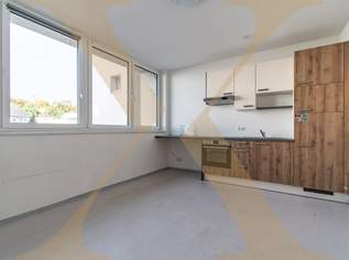 10 Wohnungen in der Kremplstraße in Linz zu verkaufen!, 790000 €, Immobilien-Wohnungen in Oberösterreich