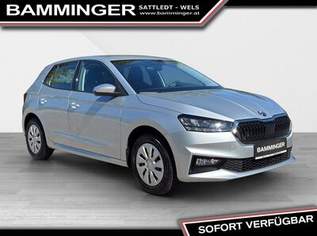 Fabia Selection 1,0, 17490 €, Auto & Fahrrad-Autos in 4642 Sattledt