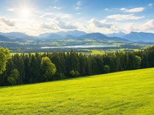 Einzigartige 3-Zimmer-Maisonette mit Garten & Seeblick am Tannberg, 1150 €, Immobilien-Wohnungen in 5205 Schleedorf