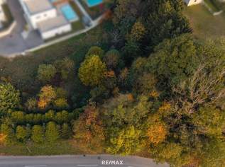 Vom Traum zum Zuhause – 821 m² Lebensfreude in Steinhaus - Grundstück mit vielen Möglichkeiten, 215000 €, Immobilien-Grund und Boden in 4641 Steinhaus