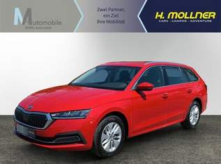 Octavia Ambition, 23990 €, Auto & Fahrrad-Autos in 4642 Sattledt Octavia Ambition, 23990 €, Auto & Fahrrad-Autos in 4642 Sattledt