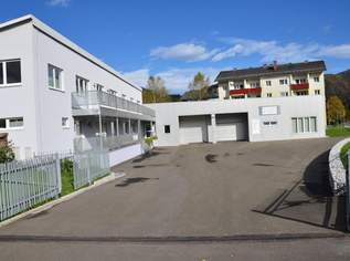 Wohn-, und Geschäftshaus in wunderschöner Naturlage, 0 €, Immobilien-Häuser in 8934 Altenmarkt bei Sankt Gallen