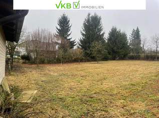 Ruhiges Baugrundstück in naturnaher Lage! – Gemeinde Alberndorf in der Riedmark, 180000 €, Immobilien-Grund und Boden in 4211 Spattendorf Ruhiges Baugrundstück in naturnaher Lage! – Gemeinde Alberndorf in der Riedmark, 180000 €, Immobilien-Grund und Boden in 4211 Spattendorf