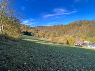Großes an Bauland grenzendes Grünland-Grundstück bei Emmersdorf!, 117705 €, Immobilien-Grund und Boden in 3644 Gossam