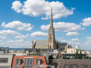 4 Zimmer -100m2 Dachterrasse, 4990 €, Immobilien-Wohnungen in 1010 Innere Stadt