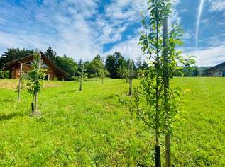 Kanadische Blockhaus Bruttofläche EG; OG 148,92 m2