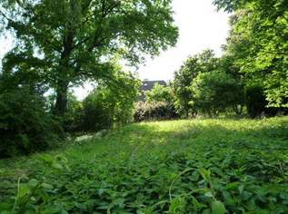 Baugrundstück ohne Bauzwang mit alten Baumbestand, 85000 €, Immobilien-Grund und Boden in 4760 Raab