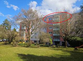 Eigentumswohnung Froschberg/Leharstraße, 244000 €, Immobilien-Wohnungen in Oberösterreich