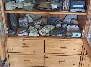 Souvenirs aus aller Welt, Mineralien, Meteorit, Meeresschnecke aus Tibet ! ec, 100 €, Marktplatz-Sammlungen & Haushaltsauflösungen in 2500 Gemeinde Baden
