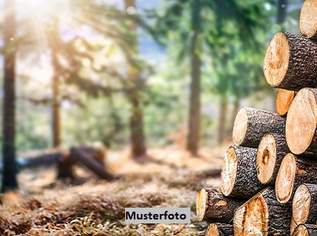 Forstwirtschaftsflächen + provisionsfrei +, 59767 €, Immobilien-Grund und Boden in 6365 Gemeinde Kirchberg in Tirol Forstwirtschaftsflächen + provisionsfrei +, 59767 €, Immobilien-Grund und Boden in 6365 Gemeinde Kirchberg in Tirol