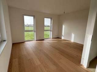 Modernes Doppelhaus in Niedrigenergiebauweise – Grünruhelage nahe Mühlwasser + KFZ-Stellplatz direkt beim Haus, 2390 €, Immobilien-Häuser in 1220 Donaustadt