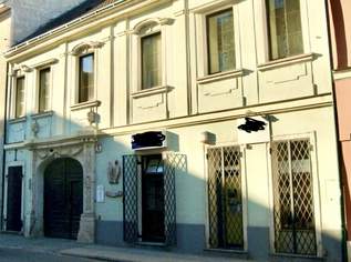 Geschäftslokal, 345.03 €, Immobilien-Gewerbeobjekte in Niederösterreich