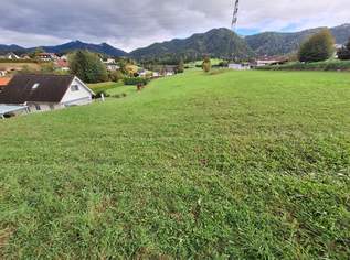 Baugrund   Randlage kein Bauzwang 110 km von wienvon wien Südautobahn S6 direkt erreichbar