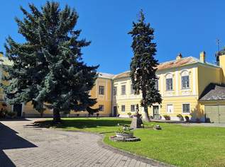 Schloss Wagram- eine einzigartige Immobilie für Alle, die das Besondere suchen., 2800000 €, Immobilien-Häuser in 3133 Traismauer Schloss Wagram- eine einzigartige Immobilie für Alle, die das Besondere suchen., 2800000 €, Immobilien-Häuser in 3133 Traismauer
