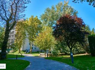 Steigerungspotential: Unbefristet vermietete 2-Zimmer Neubauwohnung in beliebter Gersthofer Lage, 415000 €, Immobilien-Wohnungen in 1180 Währing Steigerungspotential: Unbefristet vermietete 2-Zimmer Neubauwohnung in beliebter Gersthofer Lage, 415000 €, Immobilien-Wohnungen in 1180 Währing