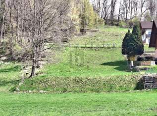 Preisreduktion! NATURNAHES GRUNDSTÜCK MIT PANORAMABLICK, 189000 €, Immobilien-Grund und Boden in 8960 Niederöblarn